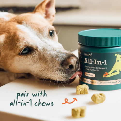 Woof Pupsicle Pops- All-in-1 Wellness (Small 10ct )