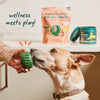 Woof Pupsicle Pops- All-in-1 Wellness (Small 10ct )