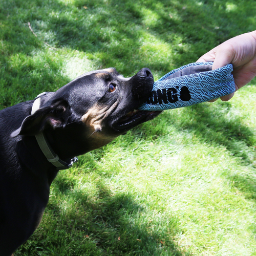 KONG Maxx Ring Dog Toy (Small/Medium)
