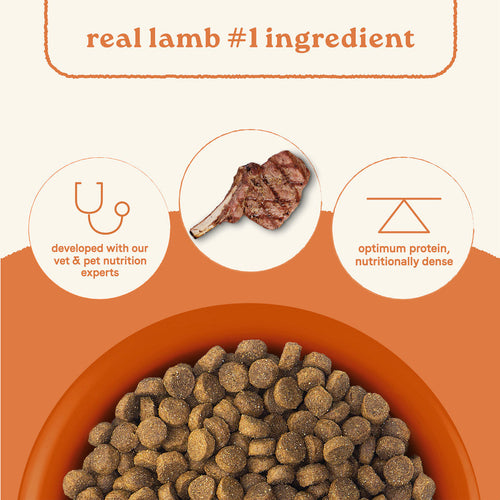 Canidae All Life Stages Dry Dog Food Real Lamb & Ancient Grains Recipe (27 LB)