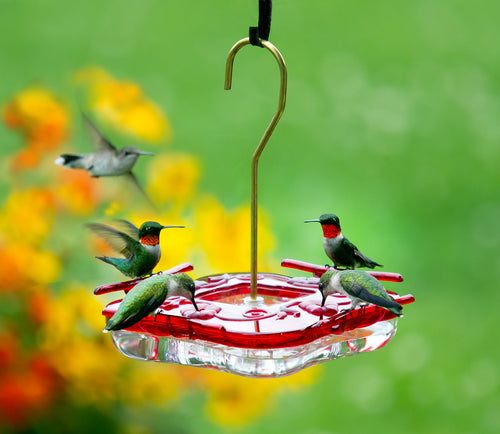 Aspects HighView Square Hummingbird Feeder (8 oz)
