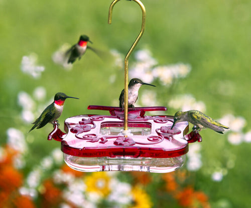 Aspects HighView Square Hummingbird Feeder (8 oz)
