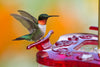 Aspects HighView Square Hummingbird Feeder (8 oz)