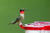 Aspects HighView Square Hummingbird Feeder (8 oz)