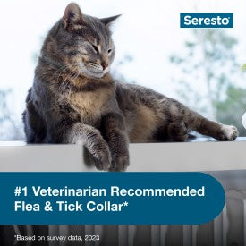 Seresto Flea and Tick Collar for Cats (1 Pack)