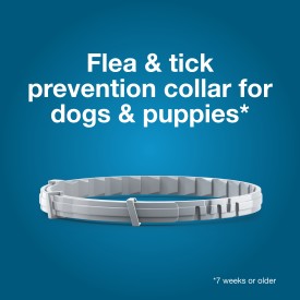 Seresto Flea and Tick Collar for Dogs (Small Dogs - Up to 18 lbs)