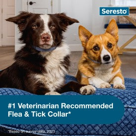Seresto Flea and Tick Collar for Dogs (Small Dogs - Up to 18 lbs)