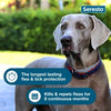 Seresto Flea and Tick Collar for Dogs (Small Dogs - Up to 18 lbs)
