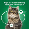Advantage II Large Cat Flea Treatment & Prevention (4 Count)