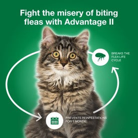 Advantage II Large Cat Flea Treatment & Prevention (4 Count)