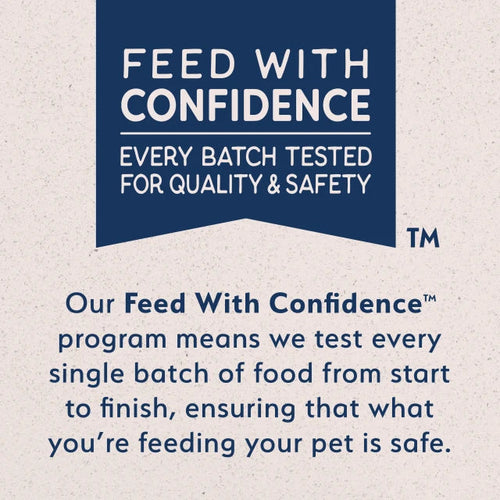 Natural Balance Limited Ingredient Diet Grain Free Salmon & Sweet Potato Recipe Dry Dog Food (22-lb)