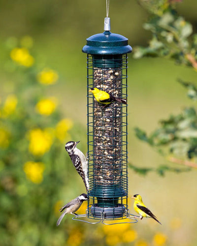 Brome Squirrel Solution® 150 Tube Bird Feeder (1.5 qt / 2.6 lb - 4 Perches)