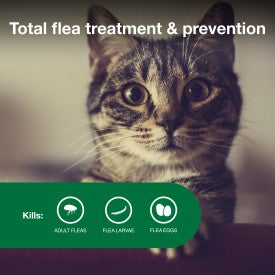 Advantage II Small Cat Vet-Recommended Flea Treatment & Prevention (5-9 lbs - 2 Months)