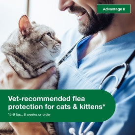 Advantage II Small Cat Vet-Recommended Flea Treatment & Prevention (5-9 lbs - 2 Months)