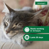 Advantage II Small Cat Vet-Recommended Flea Treatment & Prevention (5-9 lbs - 2 Months)