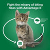 Advantage II Small Cat Vet-Recommended Flea Treatment & Prevention (5-9 lbs - 2 Months)