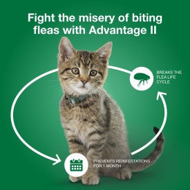 Advantage II Small Cat Vet-Recommended Flea Treatment & Prevention (5-9 lbs - 2 Months)