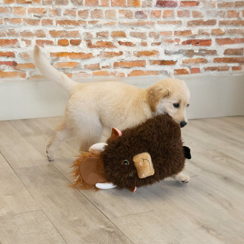 KONG Comfort Jumbo Highland Cow Assorted Dog Toy (XLarge)
