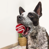 KONG Signature Balls Dog Toy 3-Pk (Large)