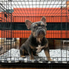 Territory Crate Mat for Dogs (Large)
