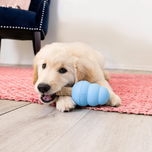 KONG Ziggies Enhanced Puppy Treats (8 oz)