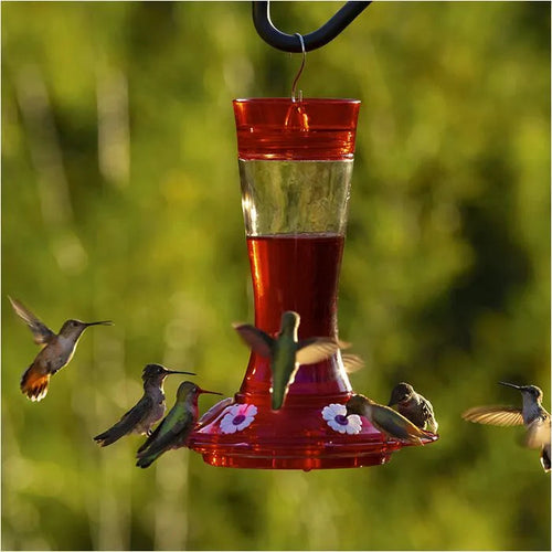 More Birds® Bird Health Natural Red Powder Concentrate Hummingbird Nectar (8 oz)