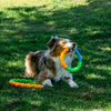 KONG Twistz High Viz Ring Dog Toy (Small)