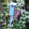 Nature's Way Suet Station Recycled Plastic Tail-prop Bird Feeder (Blue)