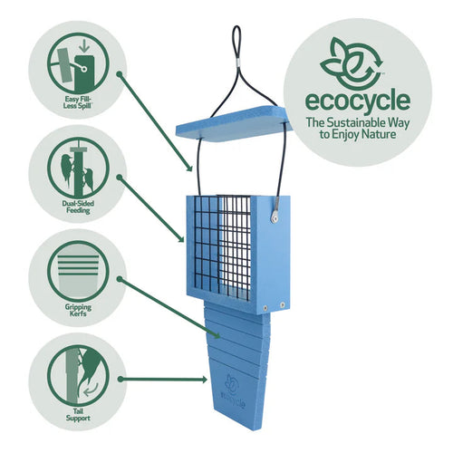 Nature's Way Suet Station Recycled Plastic Tail-prop Bird Feeder (Blue)