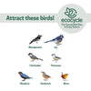 Nature's Way Suet Station Recycled Plastic Tail-prop Bird Feeder (Blue)