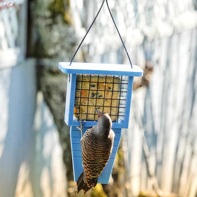 Nature's Way Suet Station Recycled Plastic Tail-prop Bird Feeder (Blue)