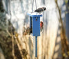 Nature's Way Suet Station Recycled Plastic Tail-prop Bird Feeder (Blue)
