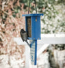 Nature's Way Suet Station Recycled Plastic Tail-prop Bird Feeder (Blue)