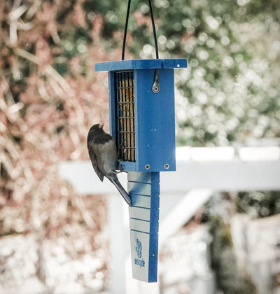 Nature's Way Suet Station Recycled Plastic Tail-prop Bird Feeder (Blue)