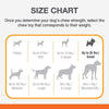 Nylabone Puppy Chew Freezer Dog Bone Lamb & Apple Flavor (Small/Regular - Up to 25 Ibs.)