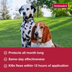 K9 Advantix II Flea, Tick & Mosquito Treatment & Prevention for Large Dogs (Dogs 21 - 55 lbs. | 1-Mo Supply)