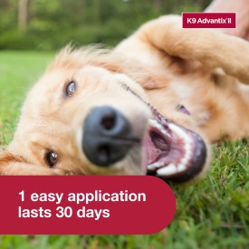 K9 Advantix II Flea, Tick & Mosquito Treatment & Prevention for Large Dogs (Dogs 21 - 55 lbs. | 1-Mo Supply)