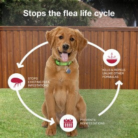 K9 Advantix II Flea, Tick & Mosquito Treatment & Prevention for Medium Dogs (Dogs 11-20 lbs. | 4-Mo Supply)