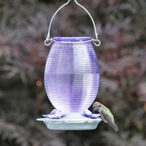 Nature's Way Bird Products Lilac Dreams Antique Glass Gravity Hummingbird Feeder (29 oz)
