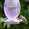 Nature's Way Bird Products Lilac Dreams Antique Glass Gravity Hummingbird Feeder (29 oz)