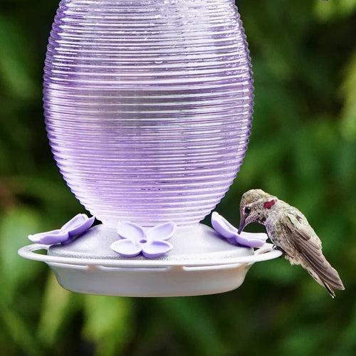 Nature's Way Bird Products Lilac Dreams Antique Glass Gravity Hummingbird Feeder (29 oz)