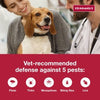 K9 Advantix II Small Dog Flea, Tick & Mosquito Treatment & Prevention (4-10 lbs. | 1-Mo Supply)
