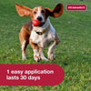 K9 Advantix II Small Dog Flea, Tick & Mosquito Treatment & Prevention (4-10 lbs. | 1-Mo Supply)