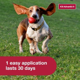 K9 Advantix II Small Dog Flea, Tick & Mosquito Treatment & Prevention (4-10 lbs. | 1-Mo Supply)