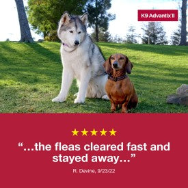 K9 Advantix II Small Dog Flea, Tick & Mosquito Treatment & Prevention (4-10 lbs. | 1-Mo Supply)