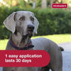 K9 Advantix II XL Dog Flea, Tick & Mosquito Treatment & Prevention (Dogs Over 55 lbs. | 4-Mo Supply)