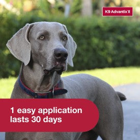 K9 Advantix II XL Dog Flea, Tick & Mosquito Treatment & Prevention (Dogs Over 55 lbs. | 4-Mo Supply)