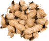 Wild Delight Inshell Peanuts (5-lb)