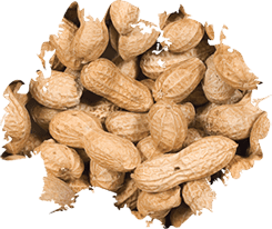Wild Delight Inshell Peanuts (5-lb)