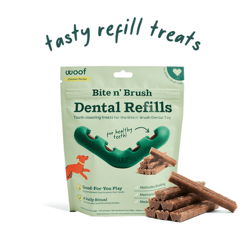 Woof Bite n' Brush Refills Dog Toy (8 oz)